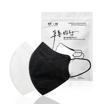KF94 NEW 푸른바람 새부리형 마스크 대형 100매(25매입포장), KF94 푸른바람 대형 화이트100매