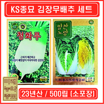 23년산 KS종묘 김장용 가을 무배추 씨앗 세트 [청화무 500립+알찬노랑배추 500립]- 우수선별종자 소포장 실속세트