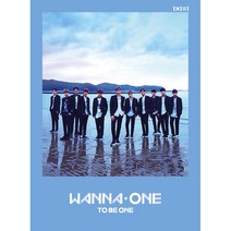 (케이스손상) 워너원 (Wanna One) 투비원 미니앨범 1집 (에너제틱 포토카드 Sky Ver 미개봉)