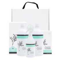 [AK PLAZA] [나무앤미] 피톤치드 가득한 편백잎수액 2L 선물세트, 옵션선택