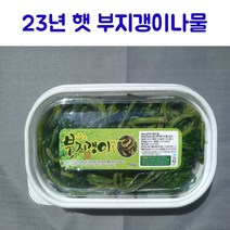 23년 햇 나물 울릉도 삶은 부지갱이 나물 550g, 삶은 부지갱이 550g