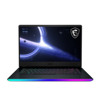 MSI 2021 GE66 레이더 15.6, 실버블랙, 코어i7 11세대, 512GB, 16GB, WIN10 Home, GE66 Raider 11UG