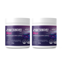 웰빙곳간 리얼 크레아틴 모노하이드레이트 300g 2개월분 순도 99.9%, 2개