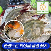 다모아수산 연평도 최상급 급냉 냉동 꽃게, 5.연평도 급냉 숫꽃게 특대 1kg(2~3미), 1개