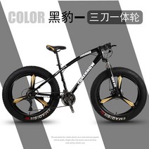 펫자전거 바퀴큰 성인 mtb 팻 바이크, 7단, 24인치, 7. 블랙 1