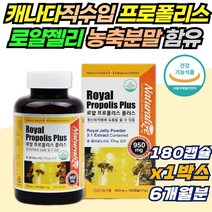캐나다 직수입 프로폴리스 로얄젤리 농축분말 함유 플라보노이드 보조제 항산화 플로폴리스 구강항균 면역력 높이는 영양제 식약처인증 홈쇼핑 코스트코 캡슐 효과 활성산소 억제
