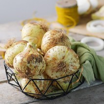 감동 23년수확 햇 양파 5kg 특/요리용, 1