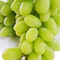 룰루네상점 씨없는 청포도 1kg 미국산 칠레산 새콤달콤 수입포도, 씨없는 청포도 2kg내외