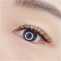 [더분] 부분 속눈썹 FR-03 (60pcs), 없음, 8mm