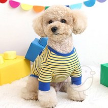 새임 스트라이프 티셔츠 옐로우 강아지나시 반려견옷 애완견옷, M