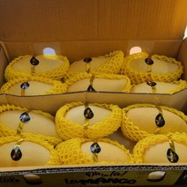 아크션 태국산망고 프리미엄 골드망고 열대과일 Mango 2kg 2.5kg 5kg, 5kg(10~18과)
