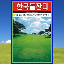 한국 들잔디 씨앗 잔디 씨 종자 1만립, 1개