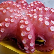 [명절선물세트] 제수용 자숙문어 한마리 1kg 1.5kg 2kg 제사용 냉동 문어 돌문어 삶은 데친 문어숙회 지티마트, 1개, 1-3. 제수용 자숙문어 2.0kg