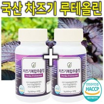 프리미엄 고농축 국내산 차즈기 차조기 차지기 차주기 차자기 붉은깻잎 보라색깻잎 루테올린 루테인 자소엽 자엽소 차 잎 캡슐 환 정 분말 가루 파우더 추출물 효능 효과 추천 1+1