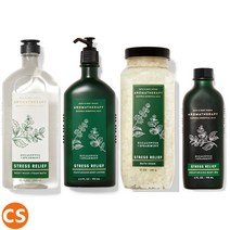 배쓰앤바디웍스 아로마테라피 유칼립투스 스피어민트 바디크림 샤워젤 바디로션 바디워시 AROMATHERAPY EUCALYPTUS SPEARMINT, 09 핸드크림 2개세트