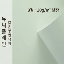 종이문화 얇은 양면색지 뉴씨플레인 120g 8절 낱장 1매 No.49 연회색, 1장