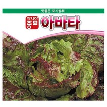 포기 상추 씨앗 1000립 아바타 쌈 야채 샐러드 종자 연중 재배 포기 수확 텃밭 베란다 채소 농사