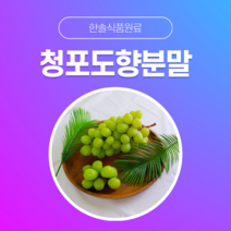 [한솔식품원료] 청포도향분말 (Muscat flavor powder) (분말 Type) [50g/100g/1kg/5kg/10kg], 50g