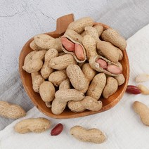 국산 땅콩 고소한 볶음 피땅콩 500g, 단품