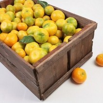 꿀꿀도매 극조생 타이백 감귤 3kg5kg10kg, 1개, 극조생타이백-10kg(프리미엄과(S))