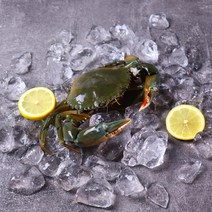 4742회센타 맛있는 청게 1kg, 1개