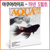 아쿠아라이프 2019년 5월호 (한국어판)