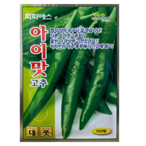 아이맛 오이고추씨앗 100립 아삭하고 비타민이 풍부한 아삭이고추종자 피피에스