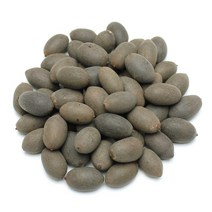 국산연자육, 1개, 300g