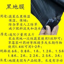 텃밭비닐하우스 하우스비닐 농사용부직포 소형 조립식 옥상 농막 보온 다육이 창고 미니온실, 메모, 검정색 2.2m 너비 200m 길이