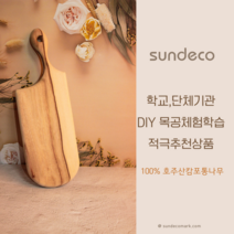 선데코 캄포도마만들기DIY키트 플라워A