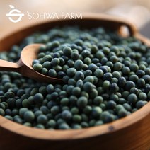 소화농장 2022년 국산 수박태 1kg 콩나물콩, 1개