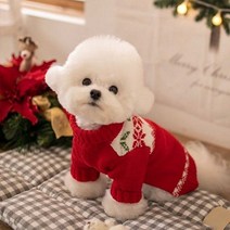 볼독 [무료배송]강아지 겨울스웨터 고양이겨울옷 강아지니트 리트리버겨울옷 니트/스웨터, 레드