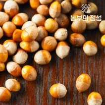 농부의정성 전북정읍 박경철님의 깐은행 1kg(특대), 단품