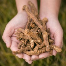 국산 끓여먹는 볶은 옥수수차 1kg 볶음 옥수수 대용량, 국산 볶은둥굴레 600g