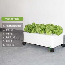 식물재배기 수경 재배기 가정용 실내 스마트팜 채소 야채 재배 상추 키우기 3단, A 수지, A 큰, J 단층워터사이클슈트