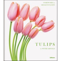 tulips 최저가 제품들
