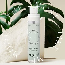 [러스미] 룸&섬유향수 딥퍼퓸 100ml 6종 사은품 엽서증정 비누 복숭아 꽃집 머스크향 니치향수, 5 잇츠 스프링 100ml