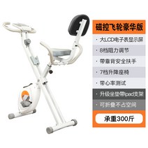 미니 좌식 다이어트 사이클 홈트레이닝 홈트기구 런닝바이크 헬스자전거 클럽형 자전거 헬스, 백색 자기 제어 무음(등받이)