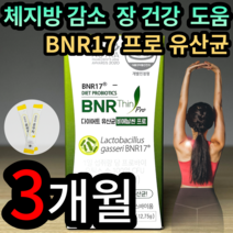 [다이어트유산균] BNR17 비에날씬 프로 다이어트 유산균 식약처인증 김희선 광고 체지방 감소 모유유래 배변활동원활 유산균 프로바이오틱스 비애날씬 비엔알씬 비엔알씨 비에날씨, 30캡슐 (1개월 분), 3개 (43370원 할인)