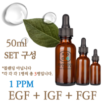 에코문 EGF+FGF+IGF 1ppm 3EA세트-50ml 원액 앰플 에센스, 1개, 50ml