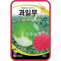 과일무 100립 / 무씨앗 무우씨 수박무 씨앗 이색 종자 watermelon radish seed, 단품