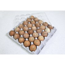 30구계란판 뚜껑 왕란용 100장 포장 난좌, 투명(100장), 100개