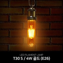 아리조명 LED 필라멘트 램프 에디슨전구 인테리어 조명 시리즈, 에디슨전구 T30S 4W골드(E26), 1개