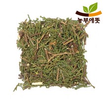 농부애뜻 측백엽 300g 국산, 1팩