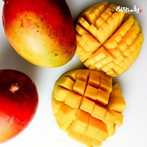 식탐대첩 브라질 애플망고 1kg 2~3과내, 단품