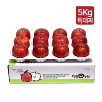 [명품농원] 당도선별 문경 사과 5kg 특대과 선물세트, 1박스, A. 명품농원 특대과 5kg(11~13과)-선물용