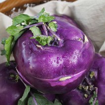 [팔도농장] 아삭 달콤한 햇 콜라비 3kg, 단품