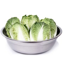 선학 스텐27종 스텐 다라이, 1개