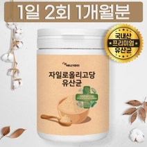 한국형 살아있는 유산균 프리바이오틱스 락토바실러스 스트렙토코커스 파우더 분말 가루, 상세페이지 참조, 상세페이지 참조