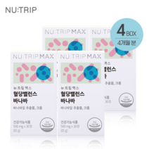 뉴트립 혈당 밸런스 바나바 4박스 4개월 _유통기한임박 5월5일, 4개